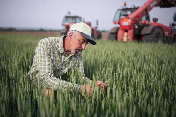 Balıkesir’de Çiftçiler İçin Tarım İşletmesi Yönetim Yazılımlar